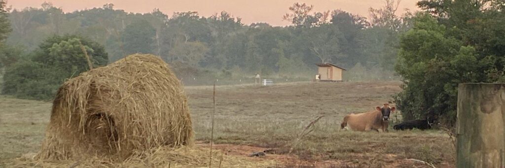 Long Story Farms photo