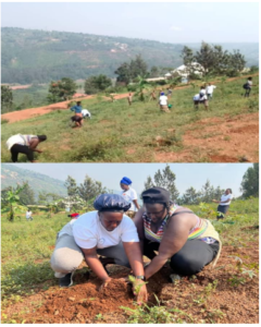 GER Rwanda tree planting