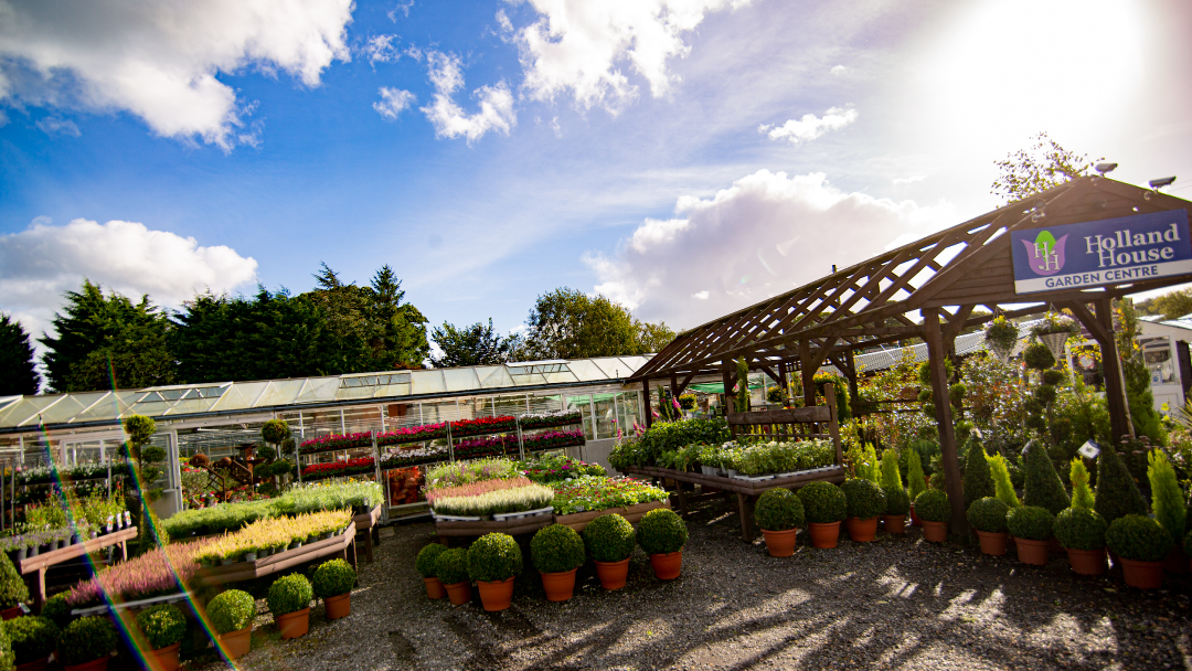 Holland House Garden Centre - The Peoples Hub