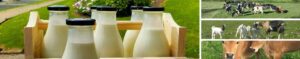 Raw Milk Ireland banner image on the peoples hub