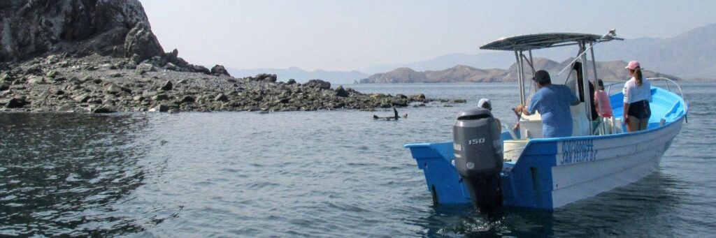 Baja By Bus photo