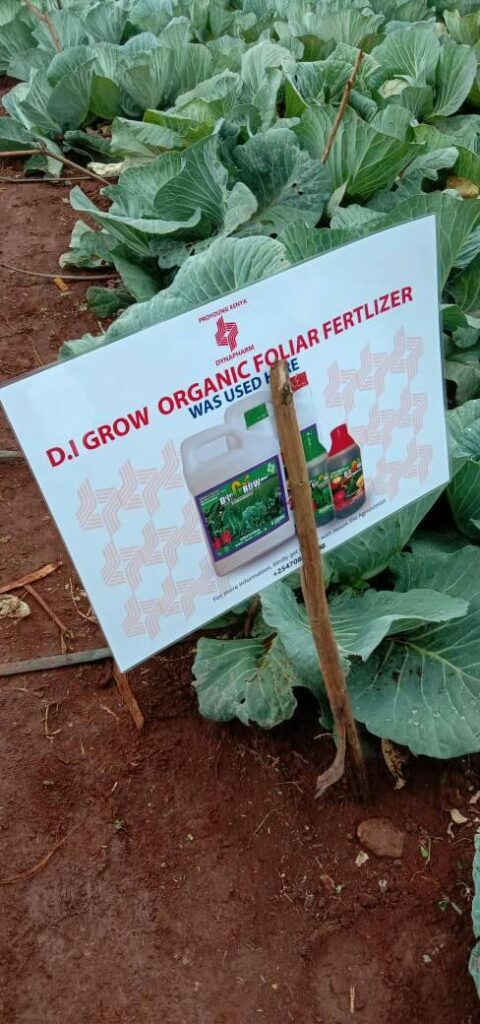 SOFAfrica usage of DI Grow organic fertilizer photograph, Kenya