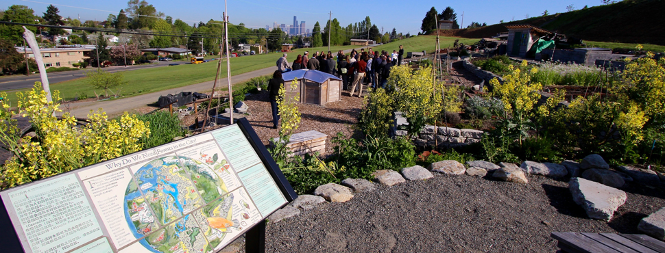 P-Patch - The Peoples Hub