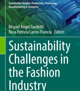 Dr LeeAnn Teal Rutrosky chapter in book sustainability challenges in the fashion industry