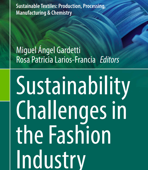 Dr LeeAnn Teal Rutrosky chapter in book sustainability challenges in the fashion industry