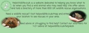 Help Wildlife banner