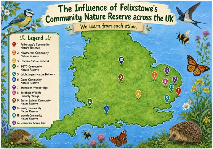 Felixstowe Nature Reserve map illustration, Citizen Science Group