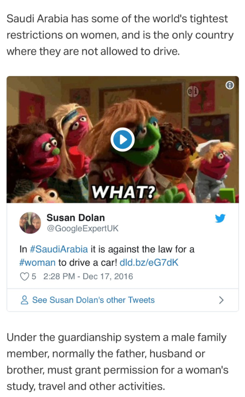 Modern Day Eagle House, Google Expert UK tweet, Saudi Arabia, TRT Media, women' suffrage screenshot